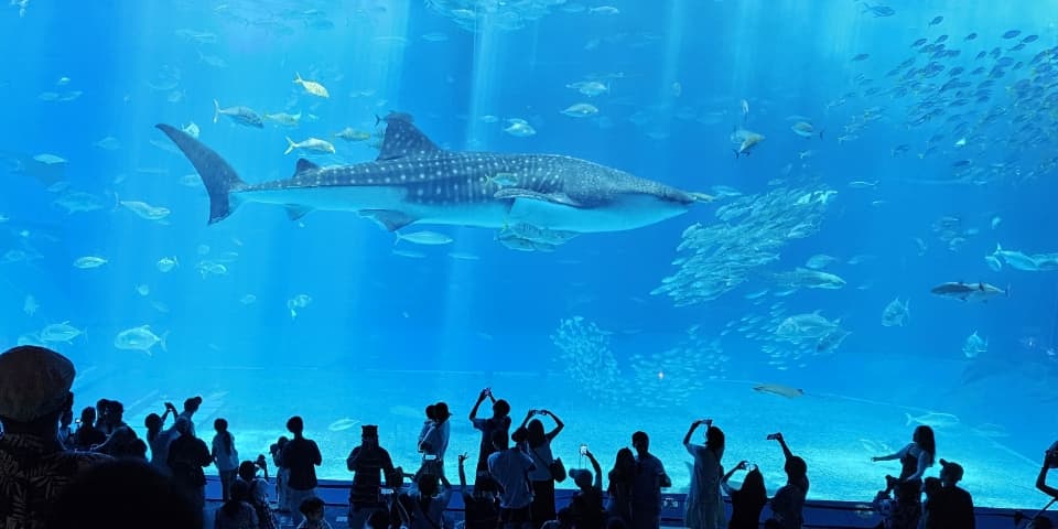 水族館